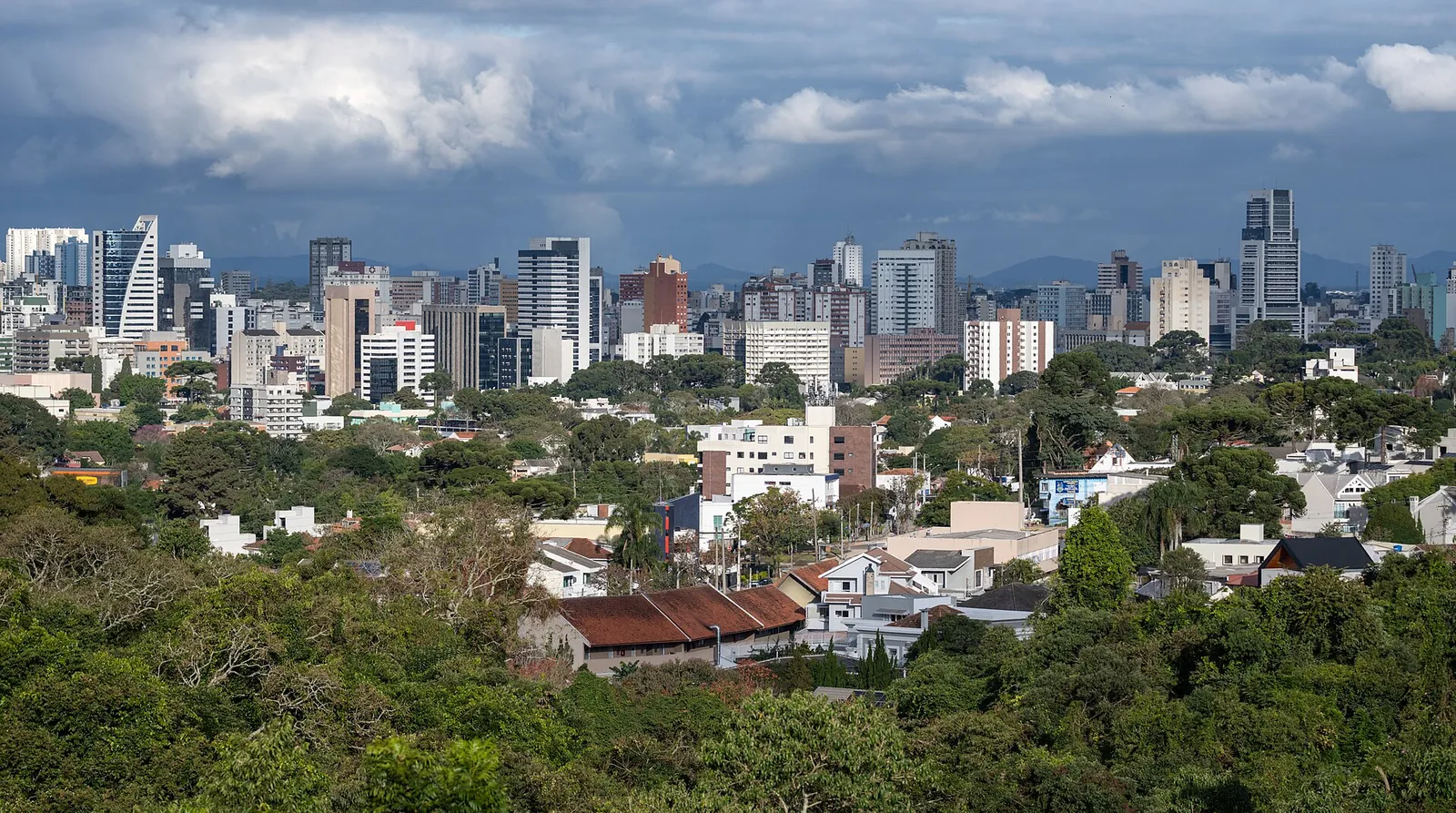 Prédios de Curitiba, no Paraná, vistos de cima da vegetação da cidade