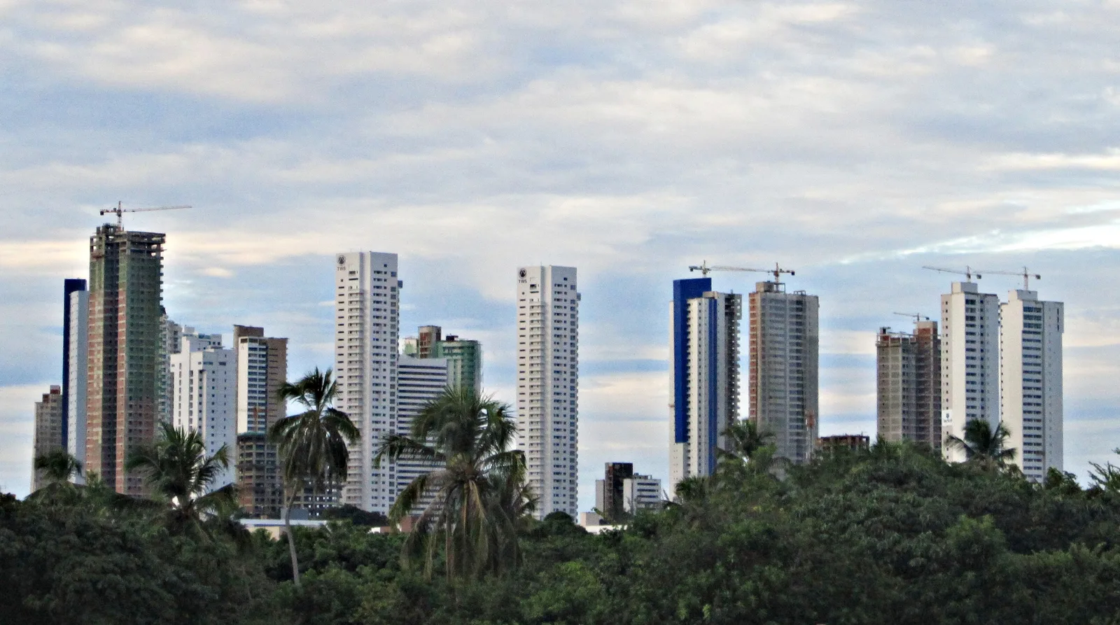 Vista do skyline de prédios residenciais de João Pessoa (PB), com coqueiros em primeiro plano